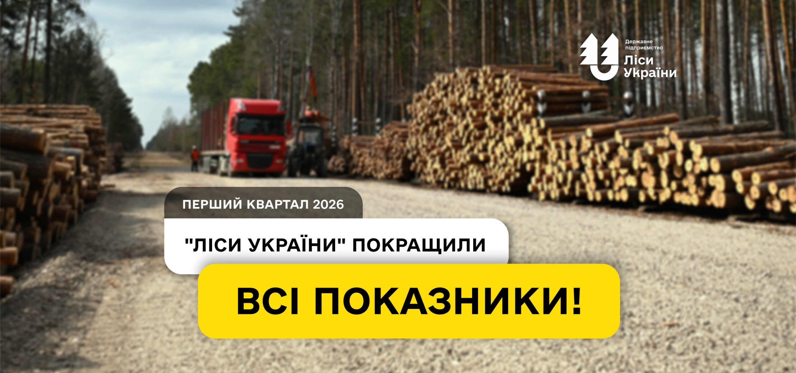 За три роки ДП «Ліси України» в рази покращили всі економічні показники!