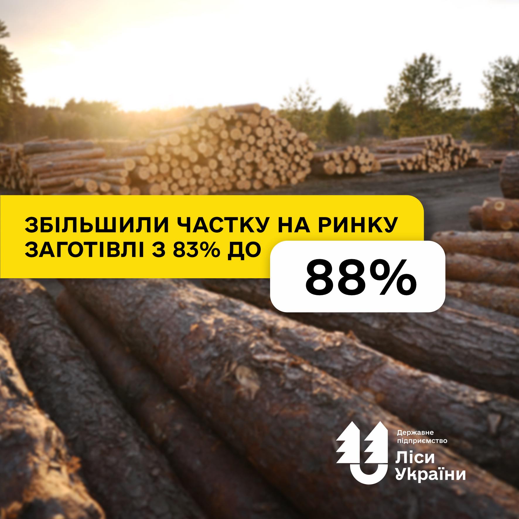 На ринку знову профіцит деревини!