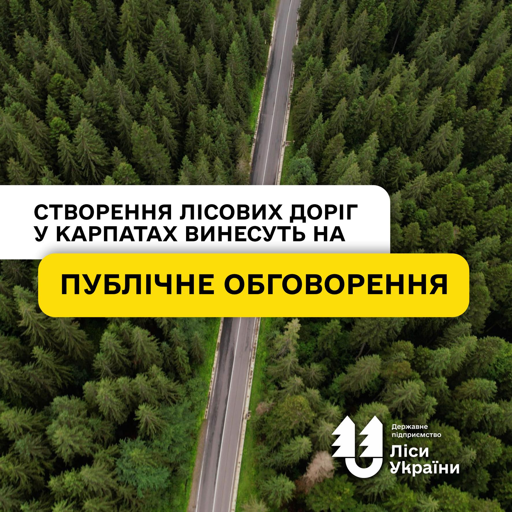 Створення лісових доріг у Карпатах винесуть на публічне обговорення