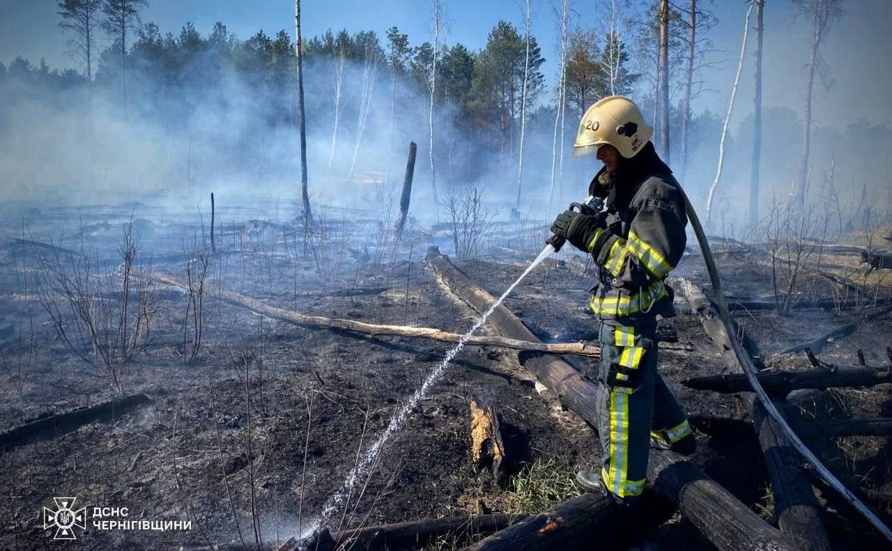 Величезна лісова пожежа на прикордонні Чернігівщині повернула у бік рф!