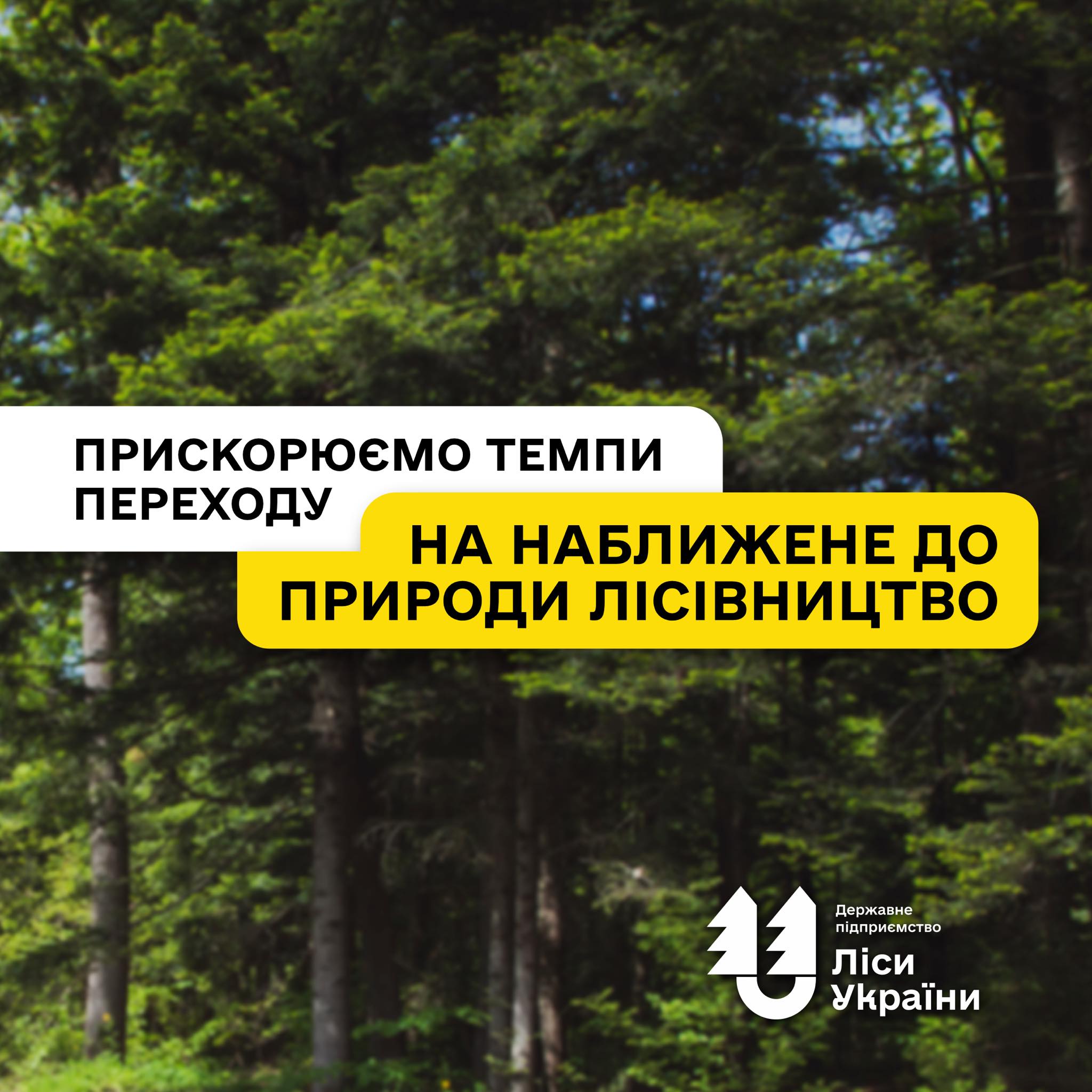 Гірські ліси Карпат без суцільних рубок: ДП «Ліси України» пришвидшує темпи переходу на наближене до природи лісівництво