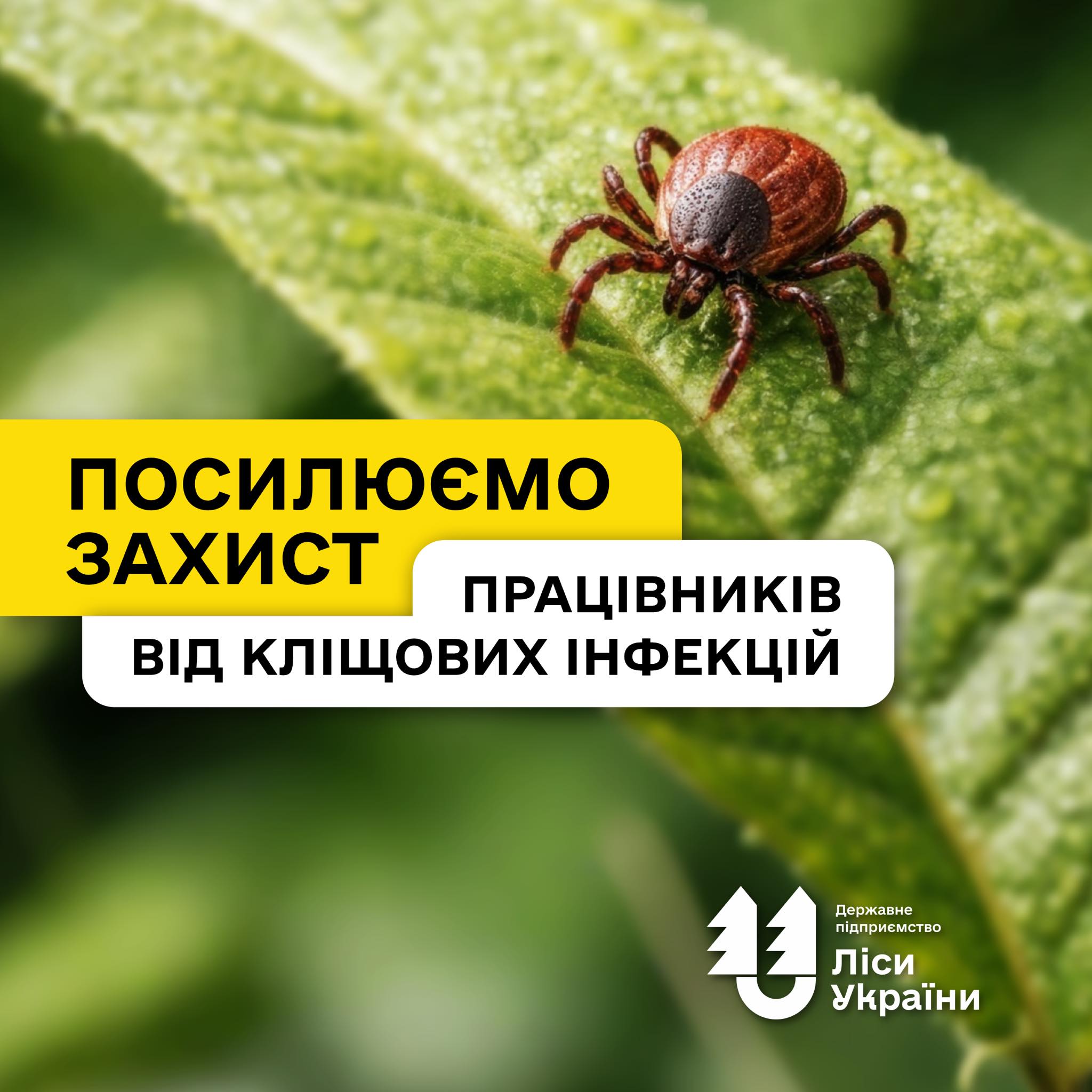 ДП “Ліси України” посилює захист працівників від кліщових інфекцій!