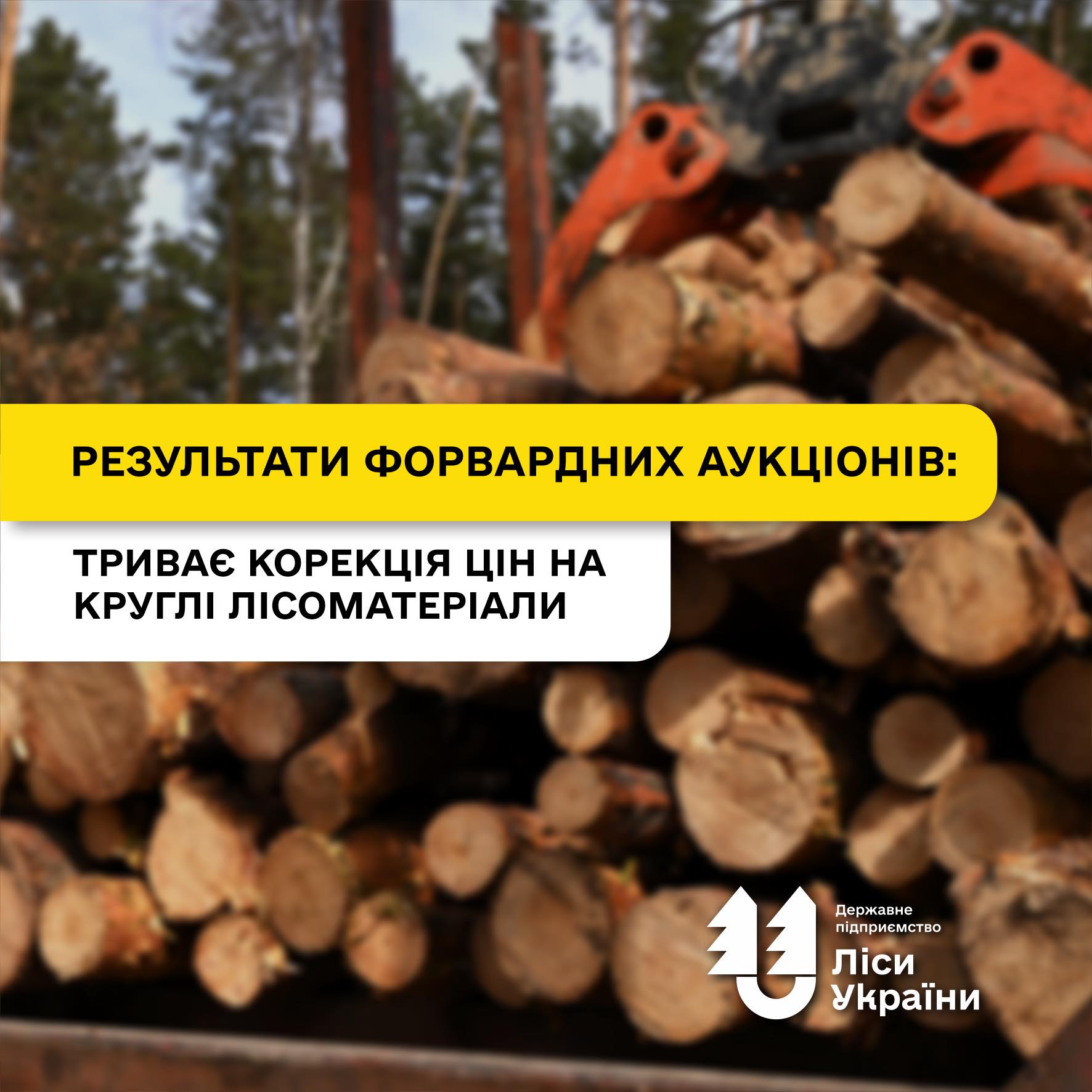 Результати форвардних аукціонів: триває корекція цін на круглі лісоматеріали