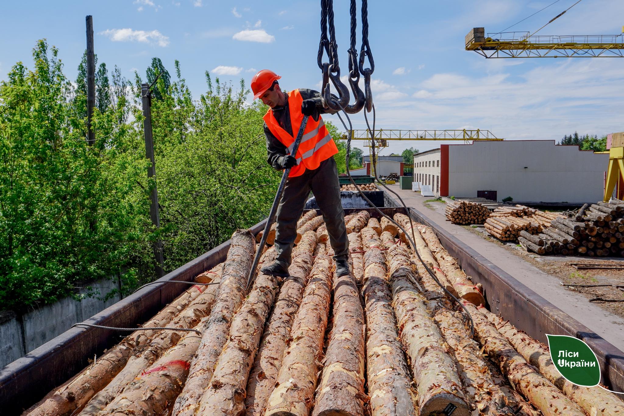 State Enterprise “Forests of Ukraine” has increased timber supplies for the Armed Forces of Ukraine eightfold!