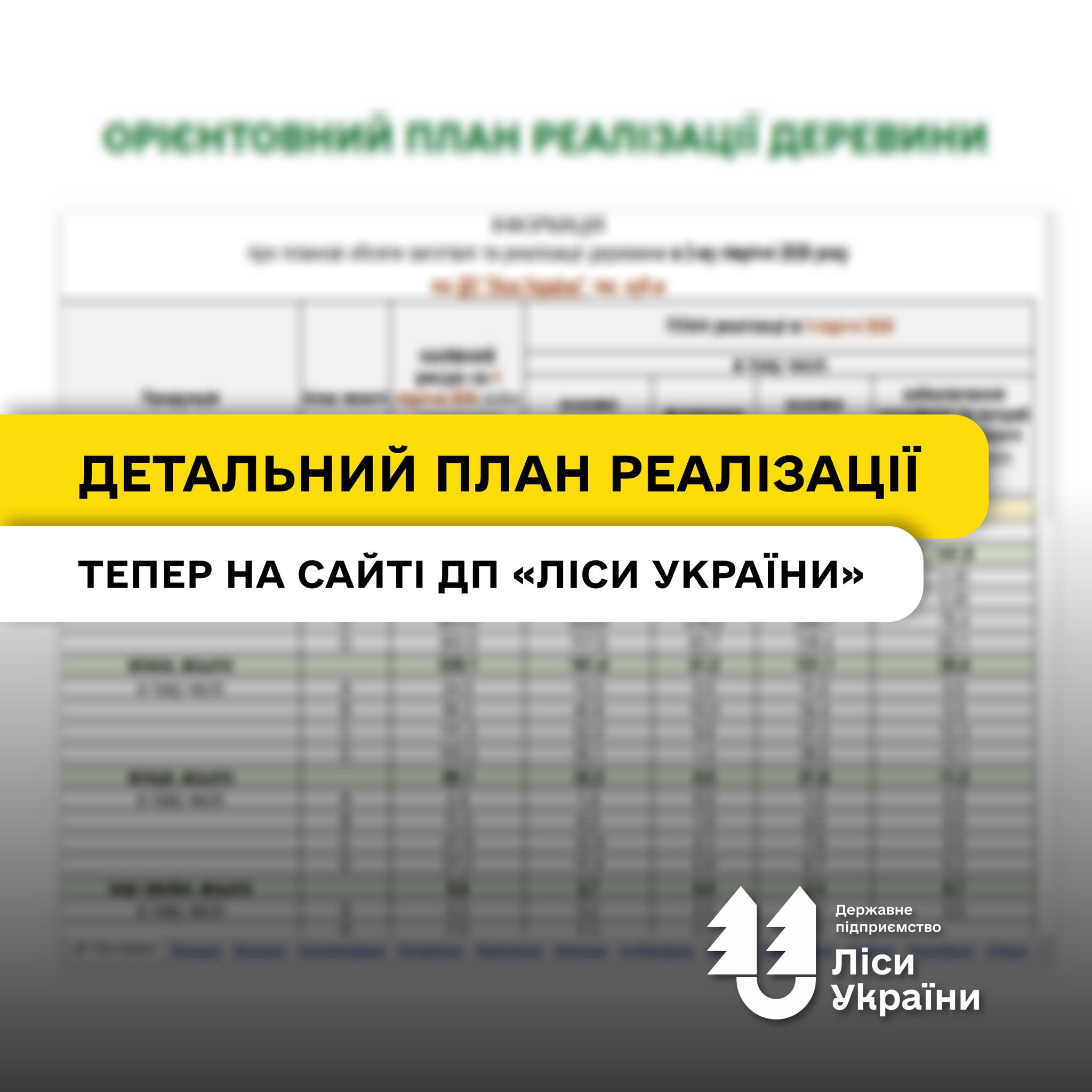 State Enterprise “Forests of Ukraine” opens data on 6.3 million cubic meters of timber: forward and quarterly auctions to begin