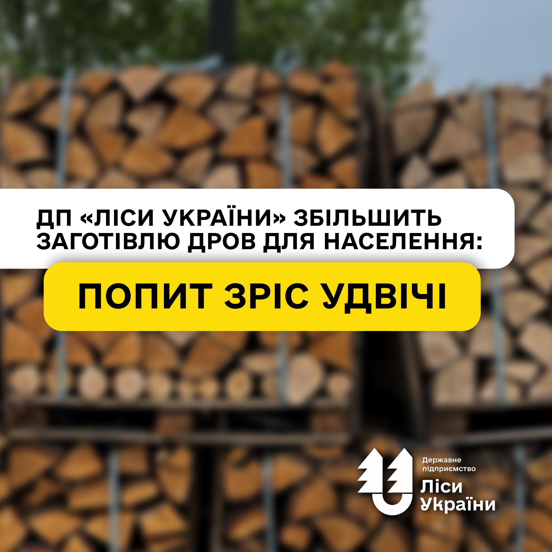 В Україні рекордний попит на дрова: населення з початку року купило вдвічі більше ресурсу, ніж у 2025 році!