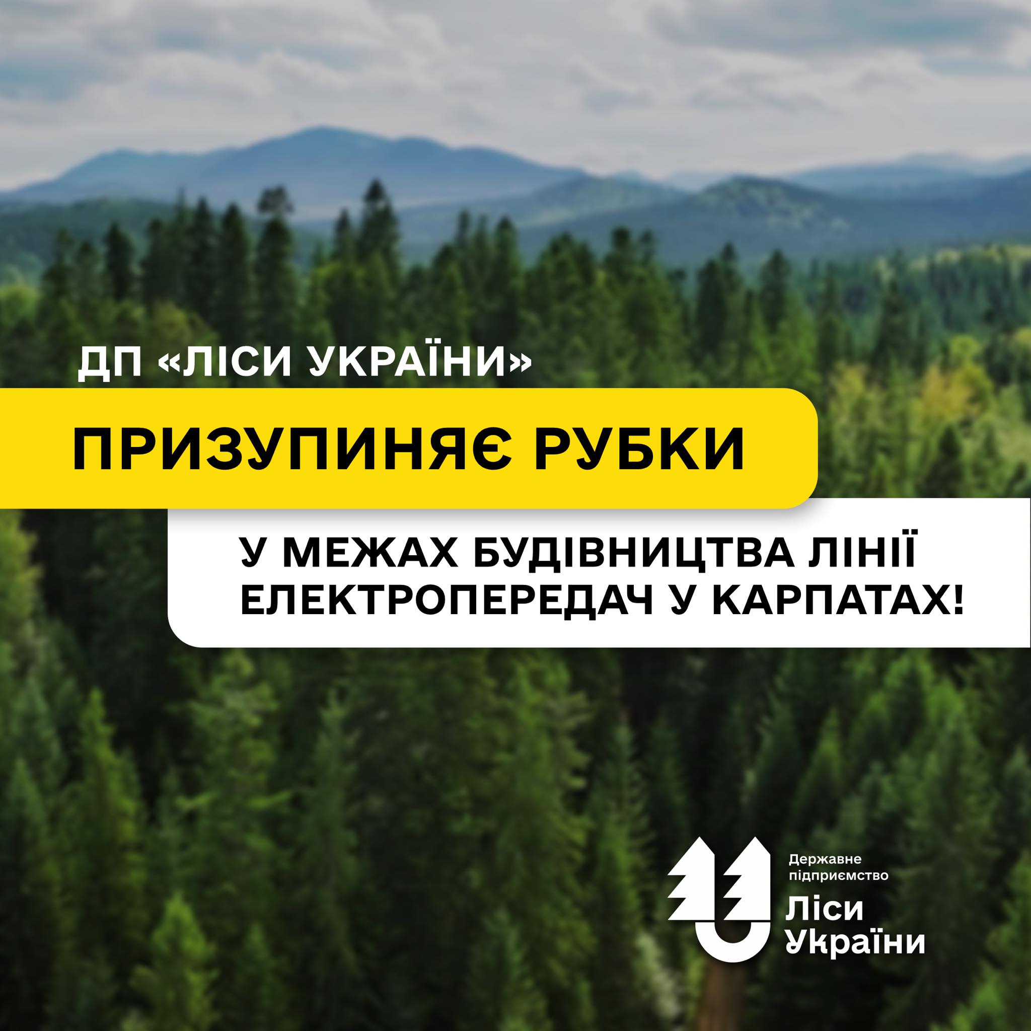 ДП «Ліси України» призупиняє рубки у межах будівництва лінії електропередач у Карпатах!