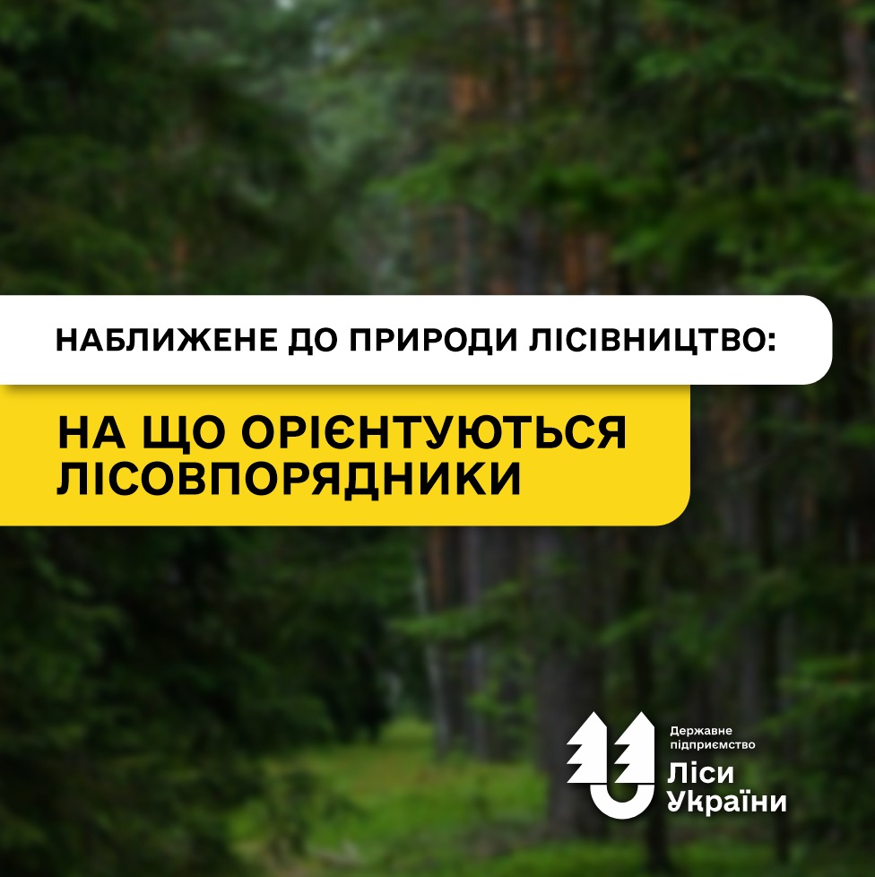 Підготовка до переходу на наближене до природи лісівництво: на що орієнтуються лісовпорядники при актуалізації матеріалів