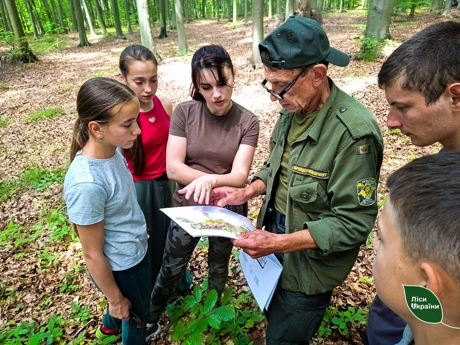 Учнівські лісництва карпатського регіону вчаться наближеному до природи лісівництву
