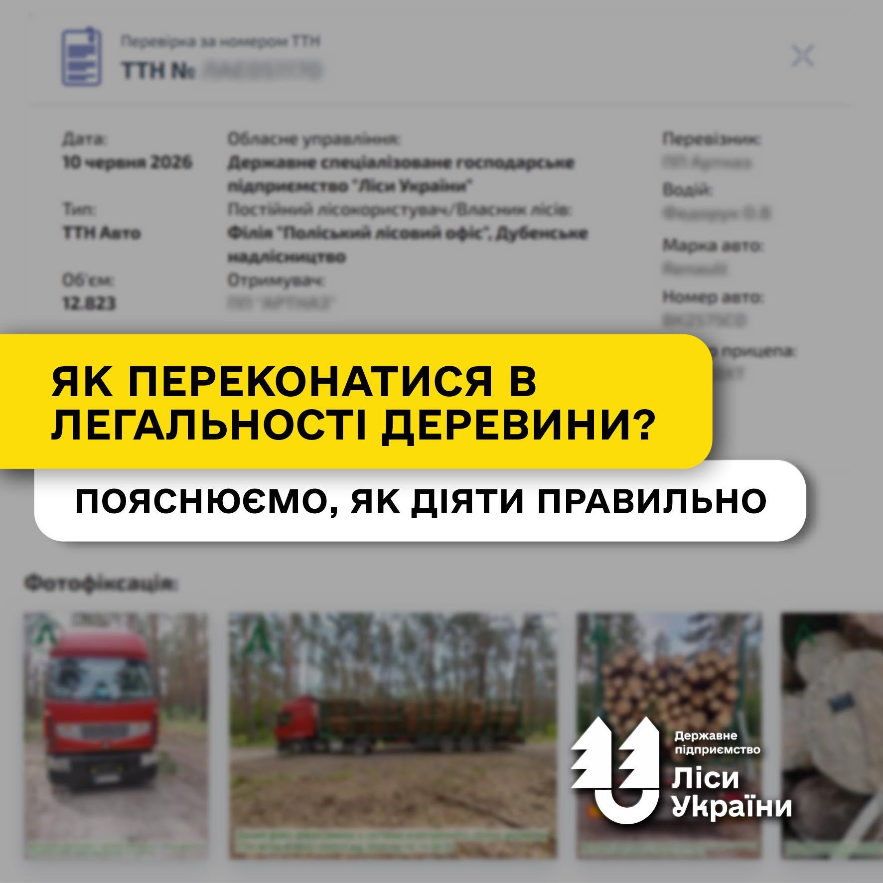 Як переконатися в легальності деревини на лісовозі?