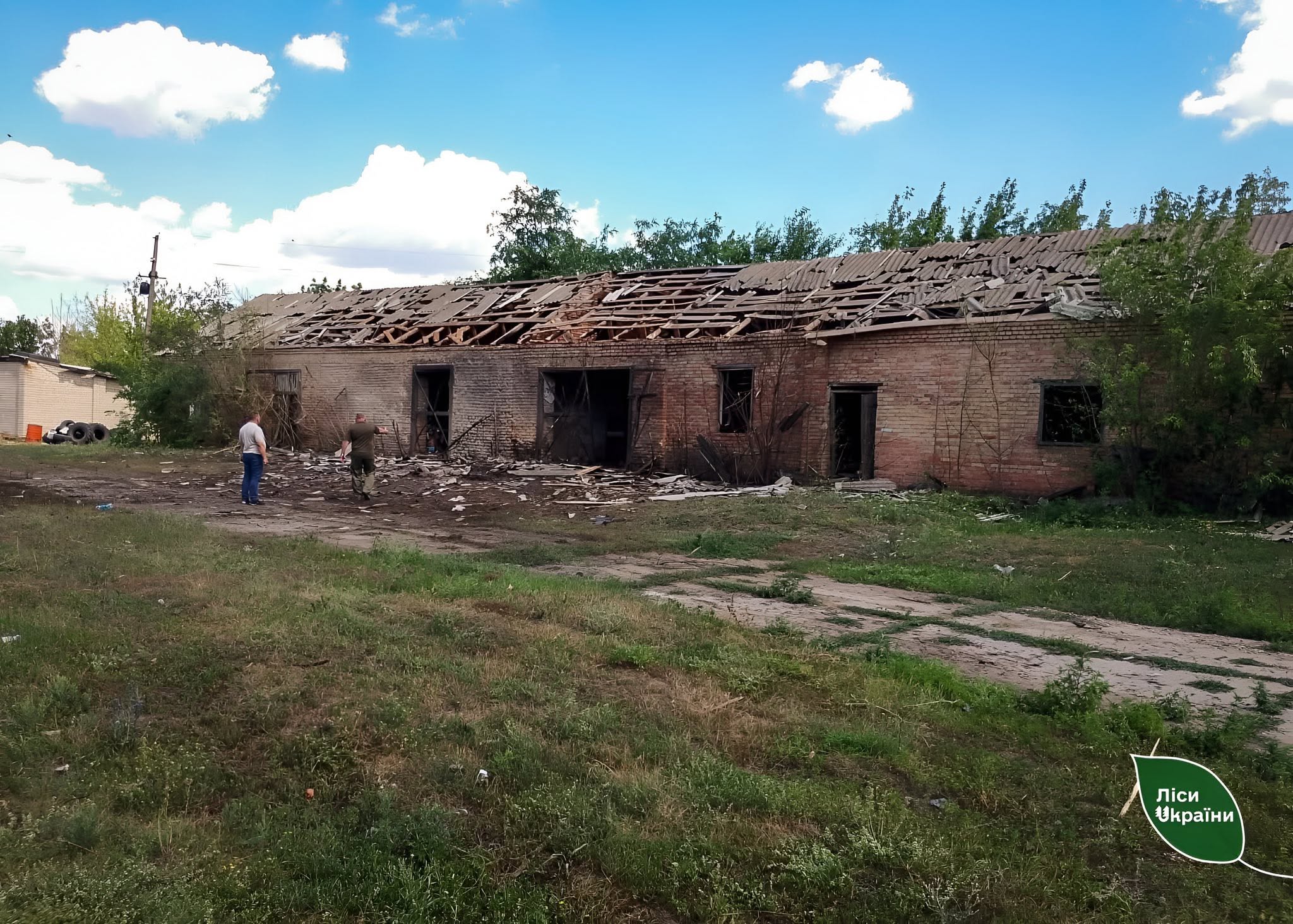 Через війну Дніпропетровщина втратила 15% лісових масивів!