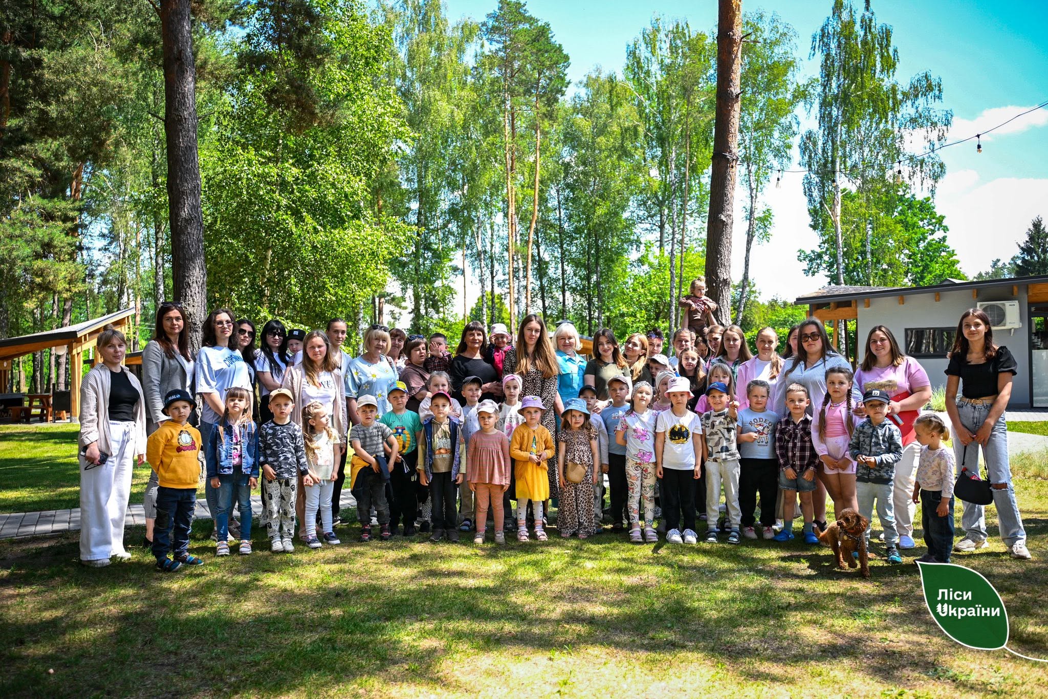 ДП «Ліси України» запускає другий етап проєкту «Вікно у ліс», присвячений безпеці дітей