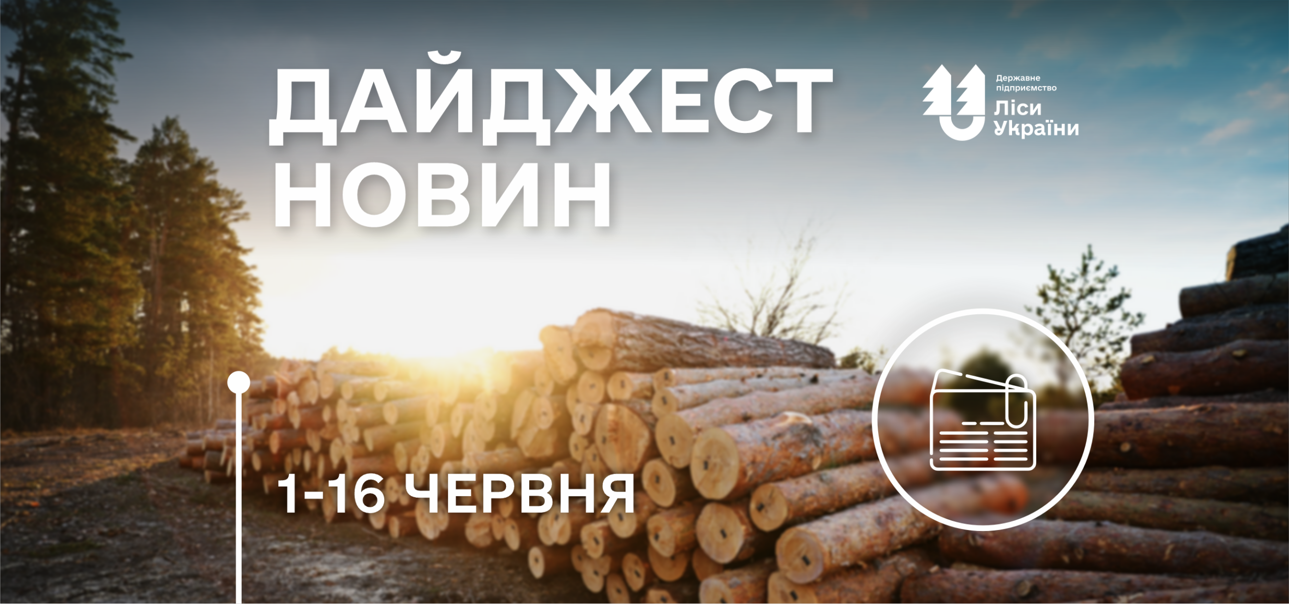 Дайджест новин ДП «Ліси України» (1–16 червня 2026 року)