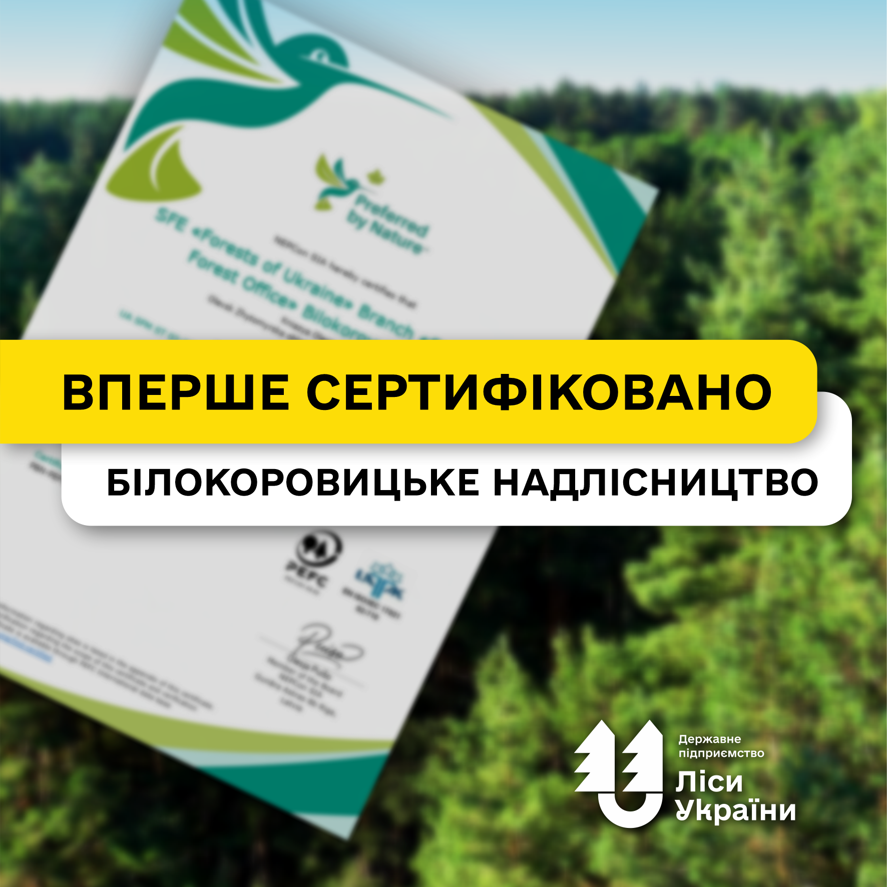 Білокоровицьке надлісництво філії «Столичний лісовий офіс» — перше в Україні з сертифікатом PEFC від Preferred by Nature!