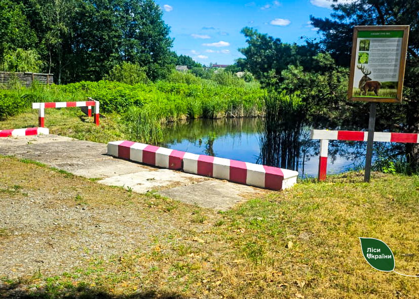 Від борони до екскаватора: як лісівники рятують пожежні водойми від «цвітіння»