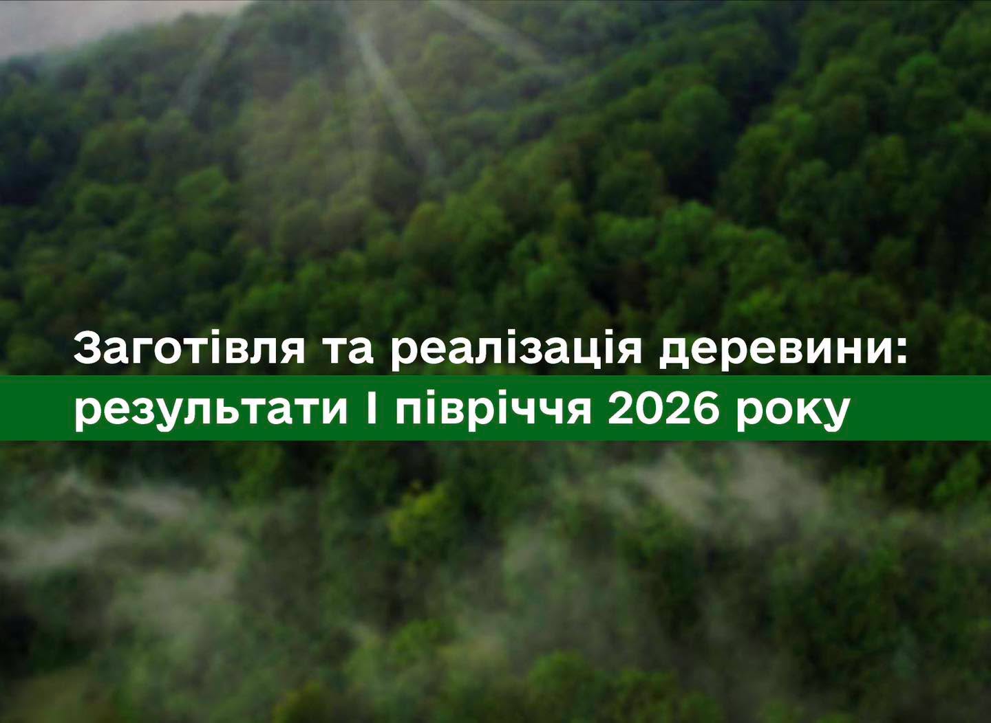 Лісова та деревообробна галузі мають працювати синхронно!