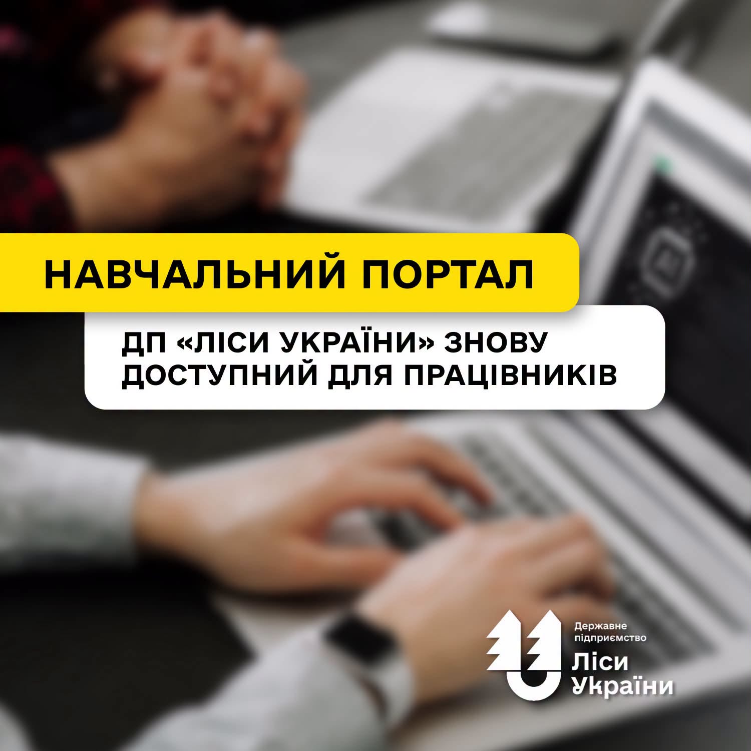 Навчальний портал ДП «Ліси України» знову доступний для працівників!