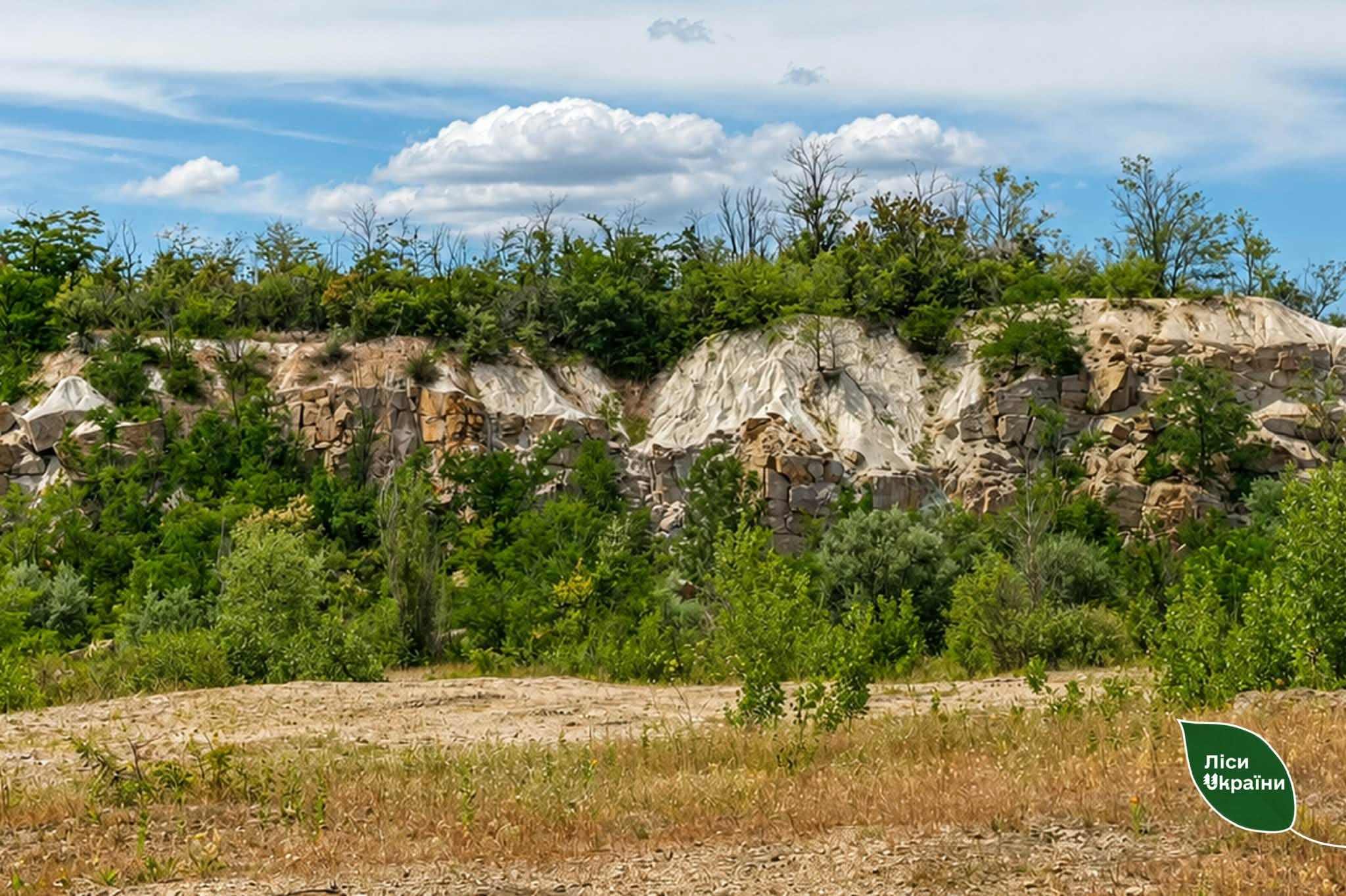 Вперше на півдні України: ДП «Ліси України» створює велосипедний маршрут Трикратським лісом