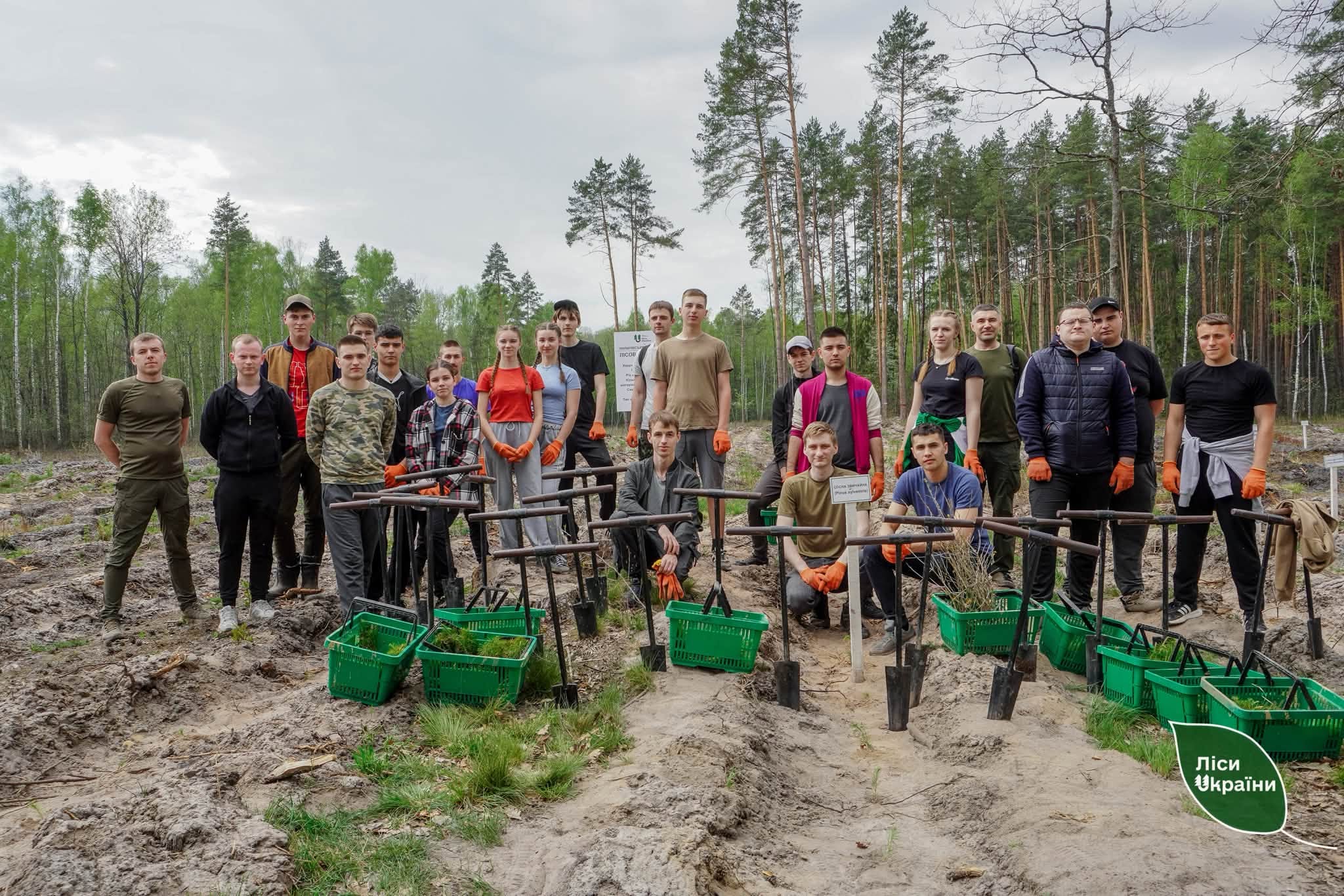 Від студентської практики – до роботи в найбільшому лісогосподарському підприємстві країни: ДП «Ліси України» запрошує молодь будувати кар’єру в галузі