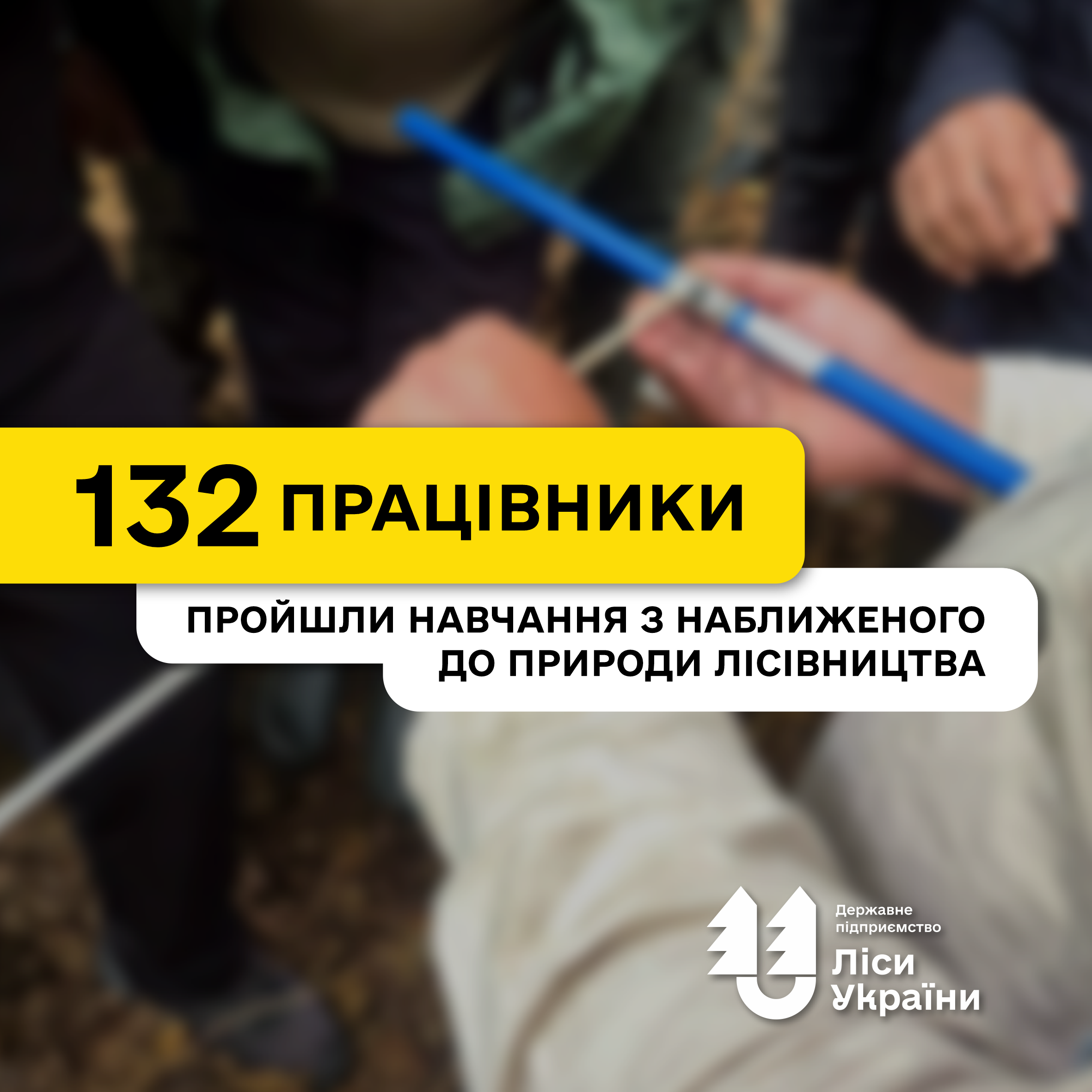 Від теорії до практики: що говорять учасники навчань з наближеного до природи лісівництва