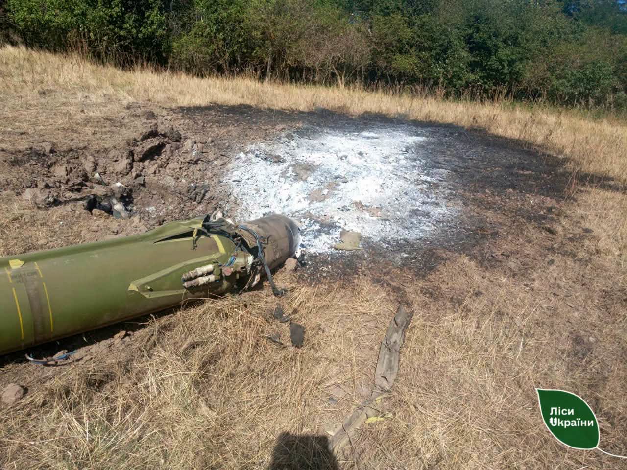 Прикордонні ліси Харківщини: через постійні обстріли заблоковано 1200 м³ лісопродукції!