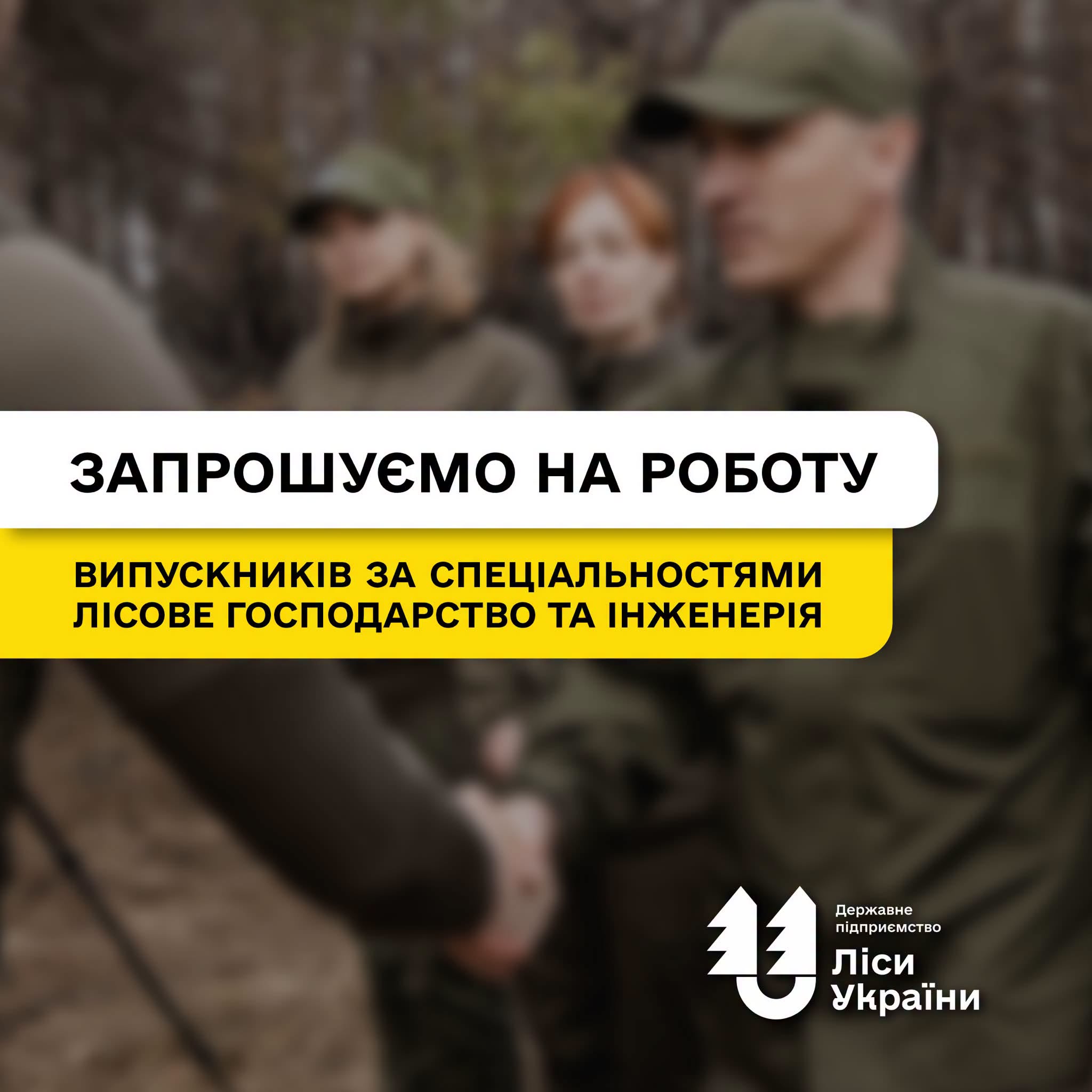 Launching a career opportunities bank: State Enterprise “Forests of Ukraine” invites Forestry and Engineering graduates to join our team