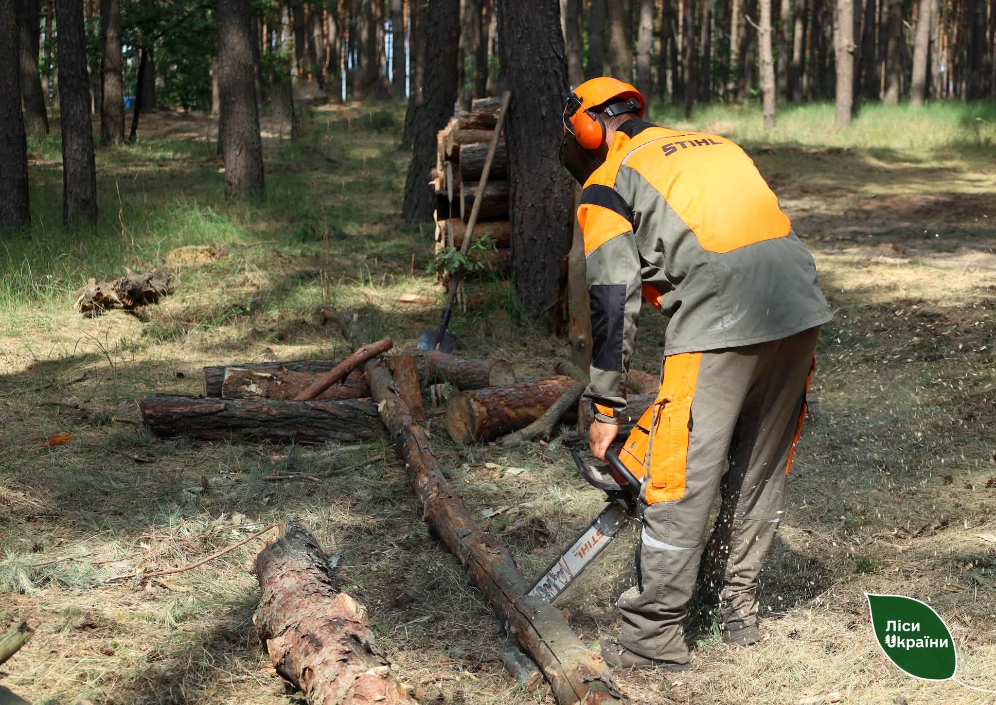 На Харківщині лісівники ДП «Ліси України» вдвічі збільшили заготівлю паливних дров