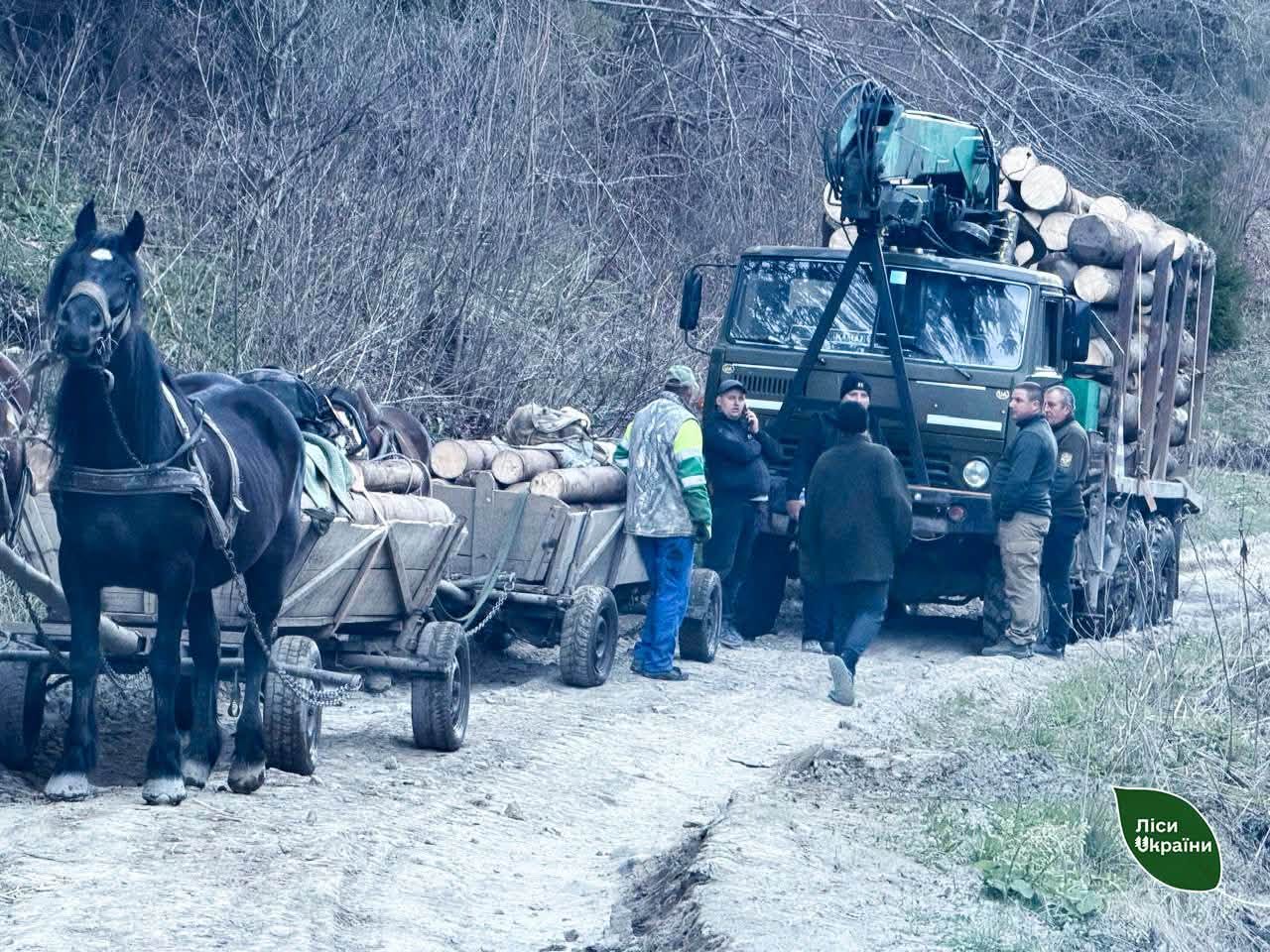 Чи можливо вирішити проблему незаконних рубок у Карпатах? Досвід Рахівщини