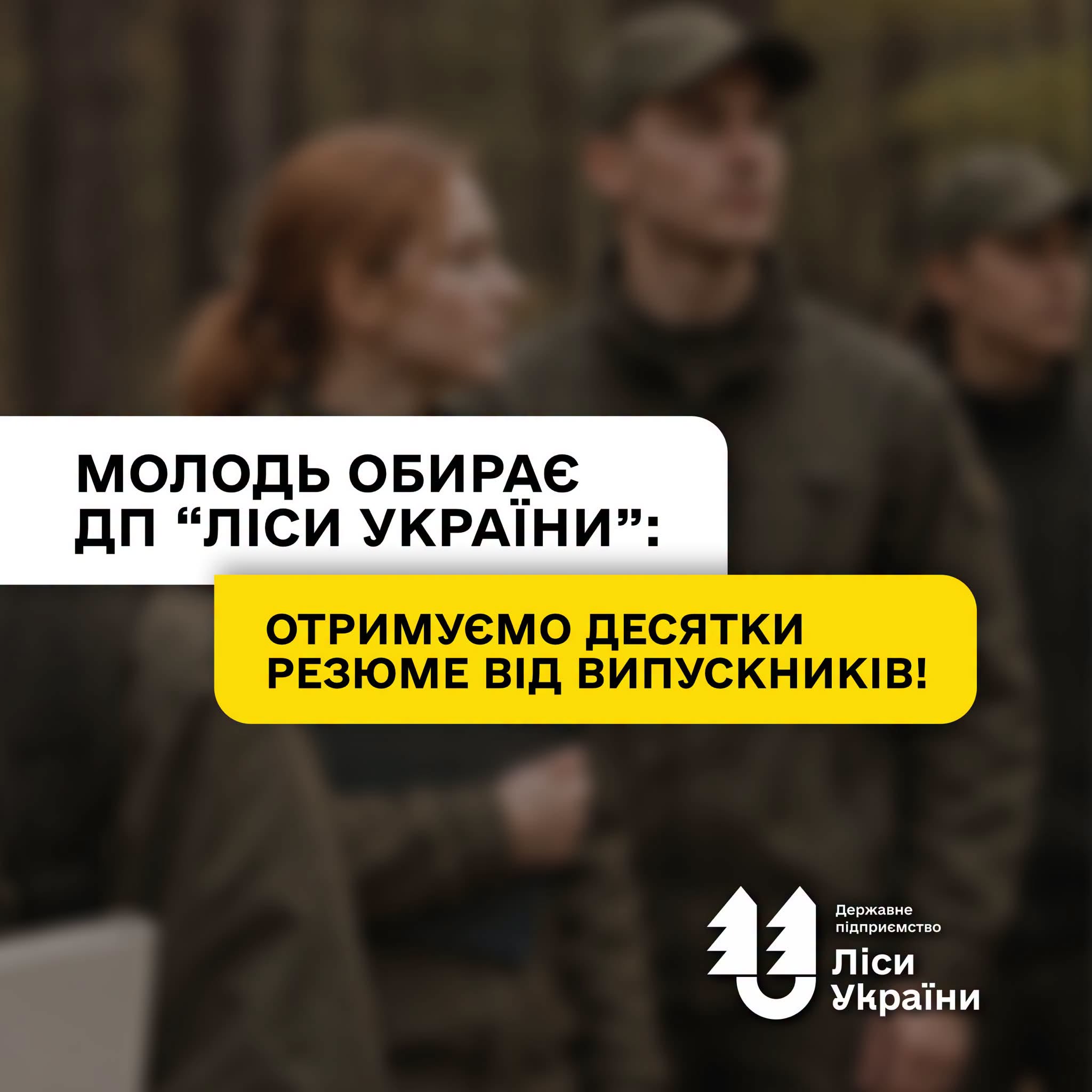 Молодь обирає ДП “Ліси України”: лише за тиждень департамент по роботі з персоналом отримав десятки резюме