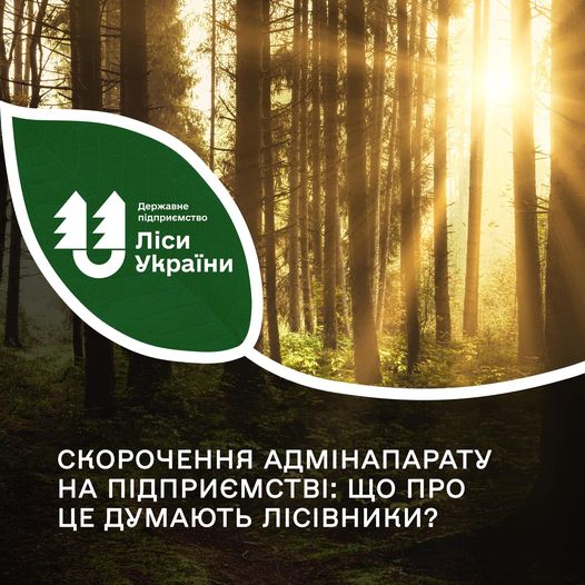 ДП “Ліси України” анонсувало скорочення адміністративного апарату. Пілотний проєкт стосується двох регіональних офісів – Південного та Східного