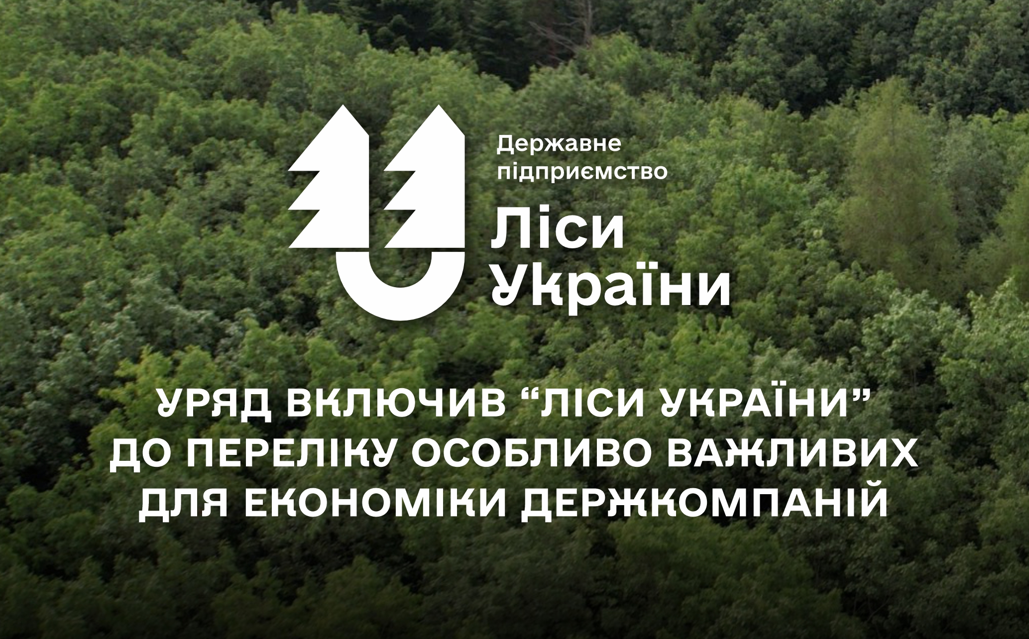 Уряд включив ДП “Ліси України” до переліку особливо важливих для економіки держкомпаній
