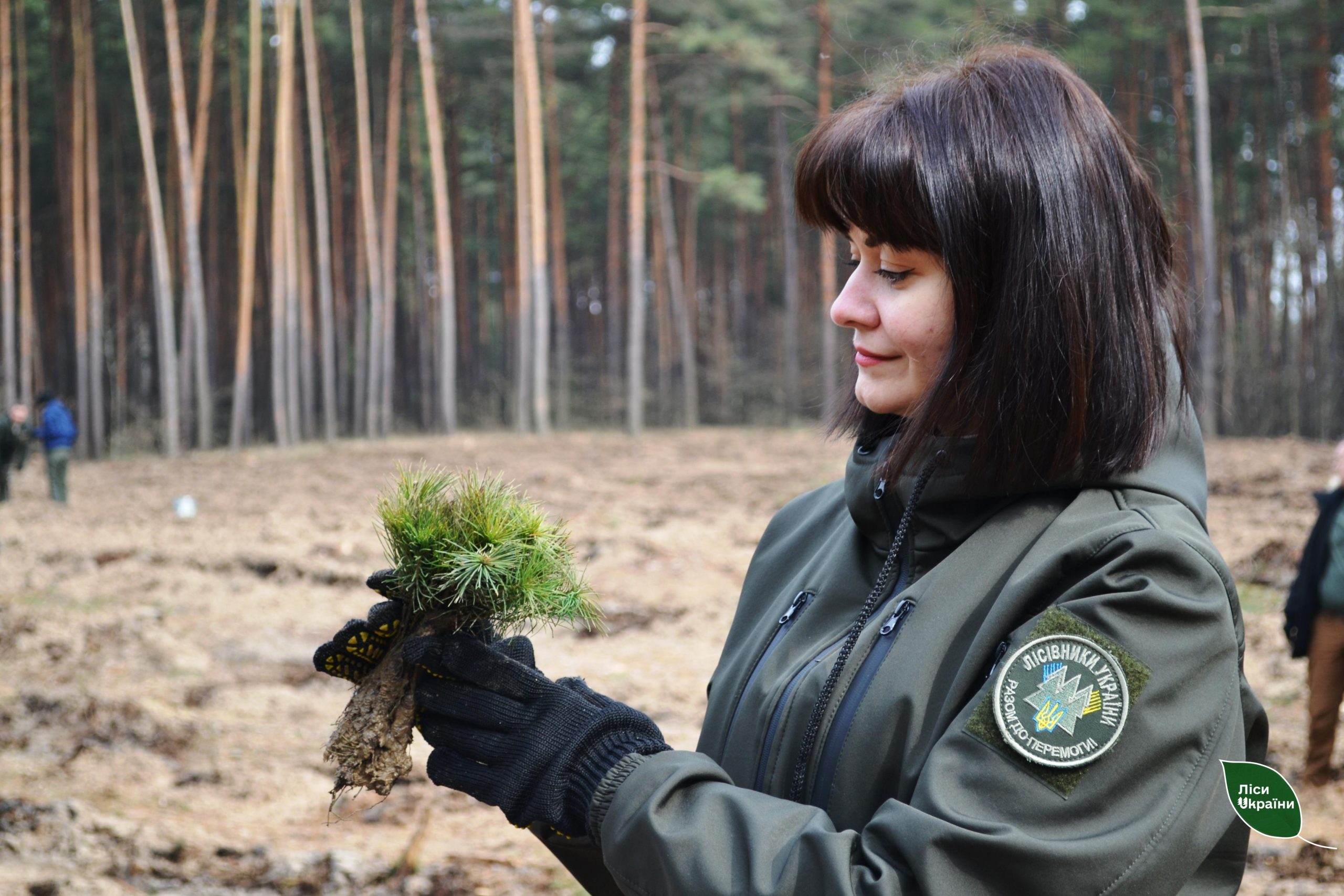 Цієї весни в рамках програми «Зелена країна» висаджено ще 23 млн сіянців!