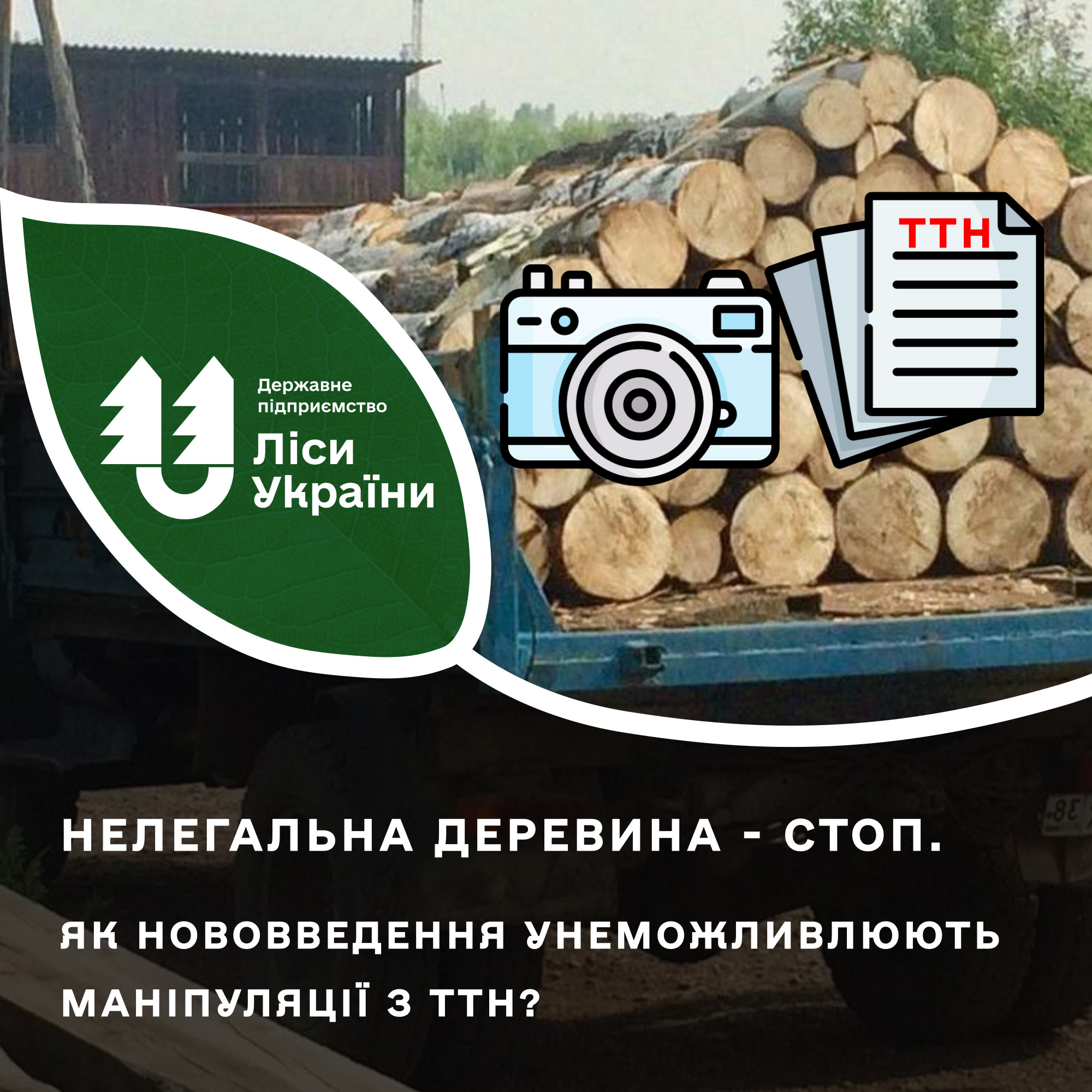 Нелегальна деревина – стоп! Як нововведення унеможливлюють маніпуляції з ТТН?