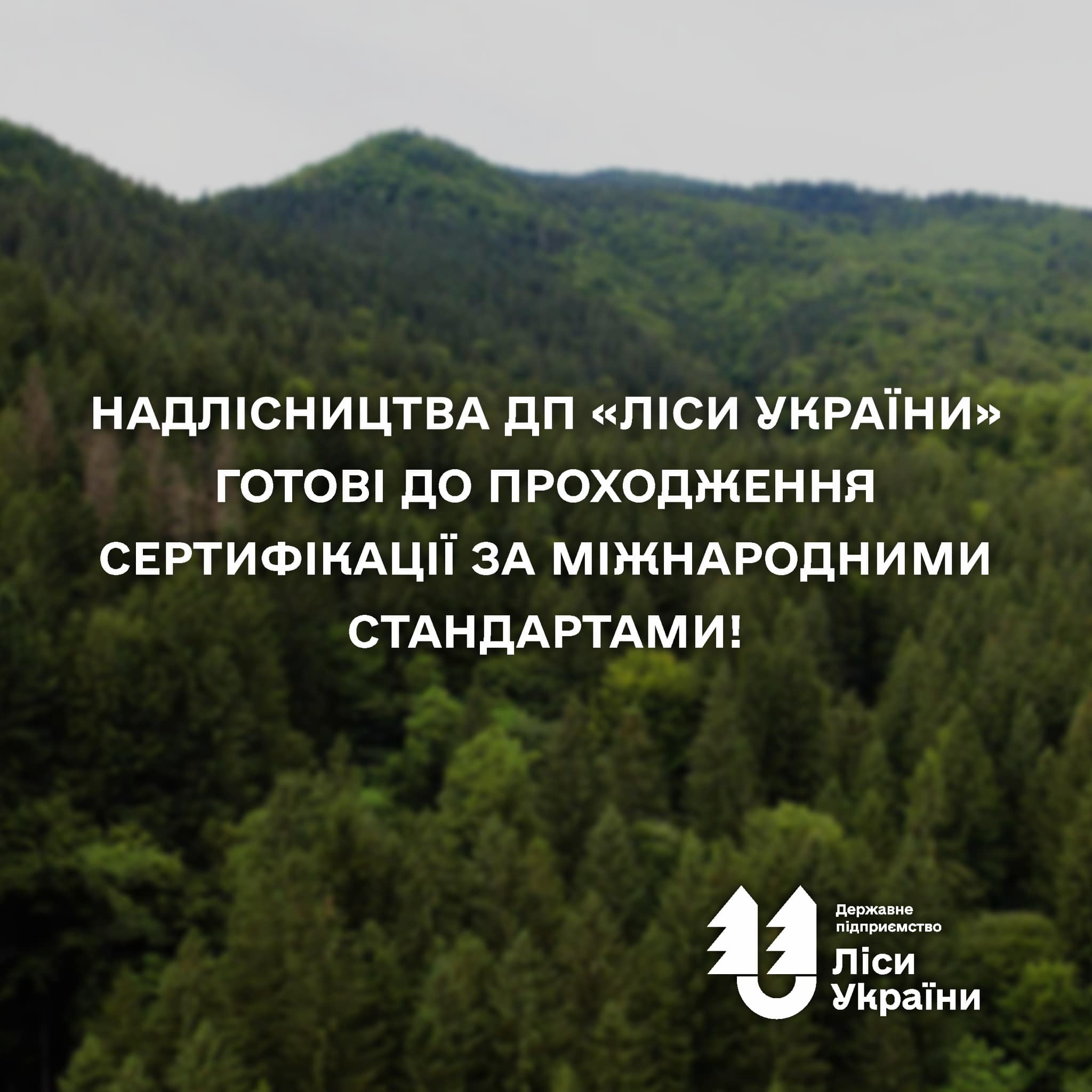Надлісництва ДП «Ліси України» готові до проходження сертифікації за міжнародними стандартами!